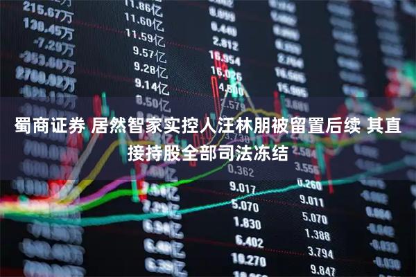 蜀商证券 居然智家实控人汪林朋被留置后续 其直接持股全部司法冻结