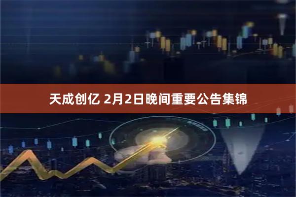 天成创亿 2月2日晚间重要公告集锦