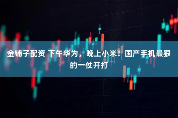 金铺子配资 下午华为，晚上小米！国产手机最狠的一仗开打